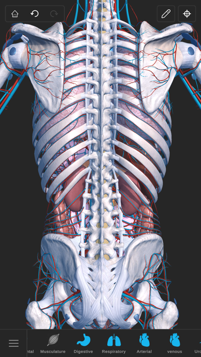 Visual Anatomy 3D - Humanのおすすめ画像4