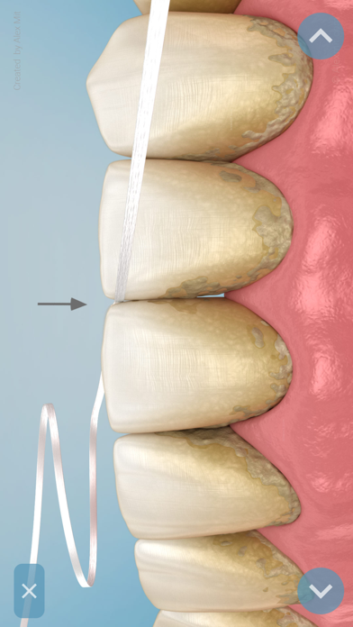 Dental 3D Illustrations Screenshot