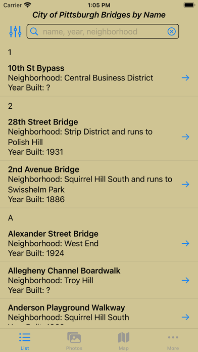 Pittsburgh City Bridges Screenshot