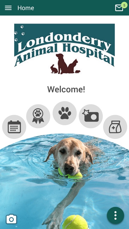 Londonderry Animal Hosp