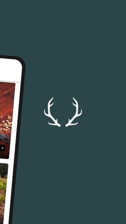 Dry Farm Wines screenshot-4