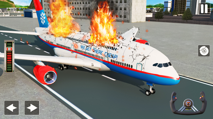 Emergency Plane Crash Landing