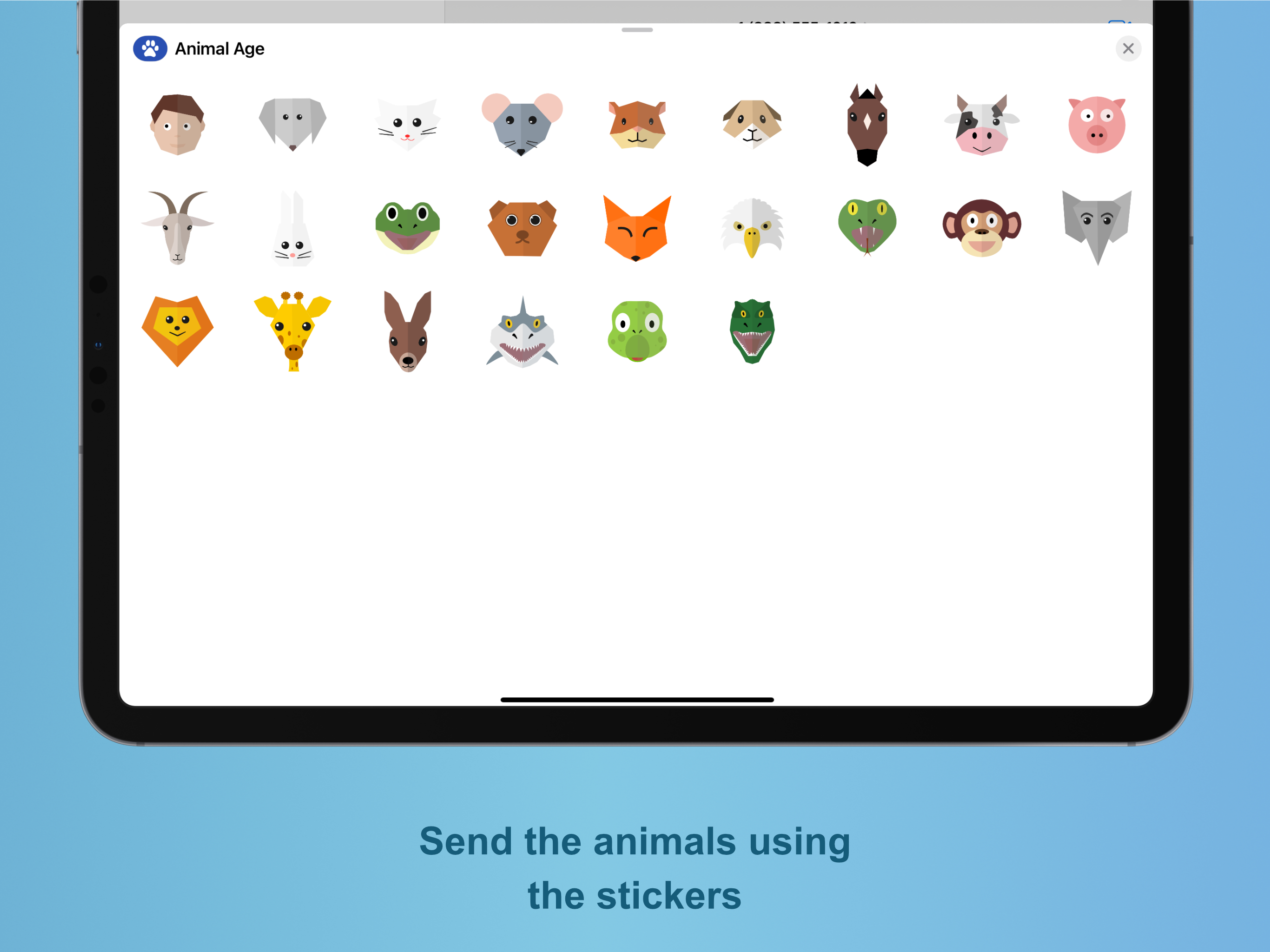 Animal Age: Calculator