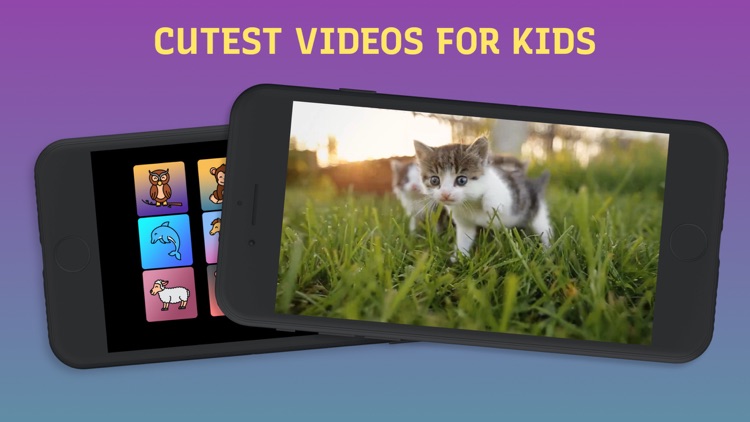 Cutest Videos for Kids