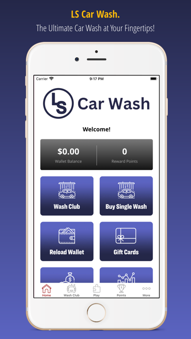 LS Car Wash Screenshot
