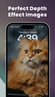 widget skins 17 iphone screenshot 2