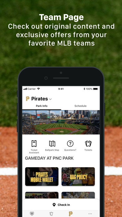 MLB Ballpark Screenshot