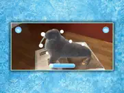 eis-ar ipad bildschirmfoto 4