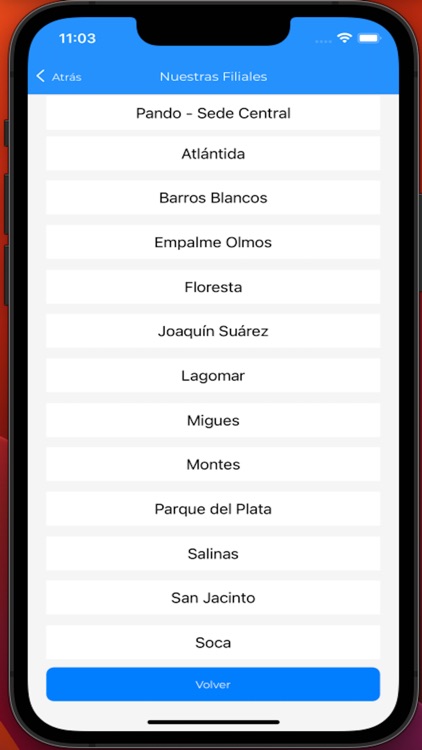 CAAMEPA screenshot-4