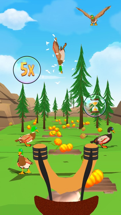 Crazy bird hunting shooter 3d