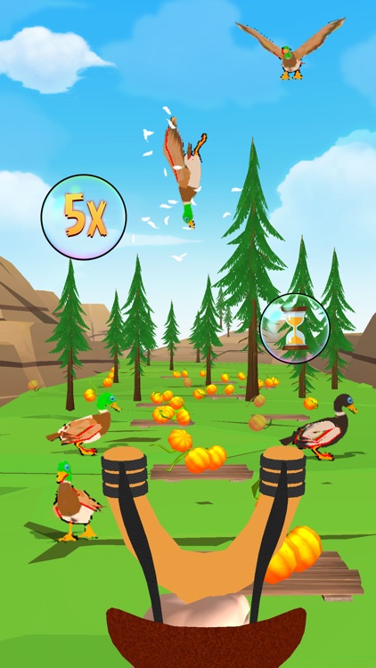 Crazy bird hunting shooter 3d