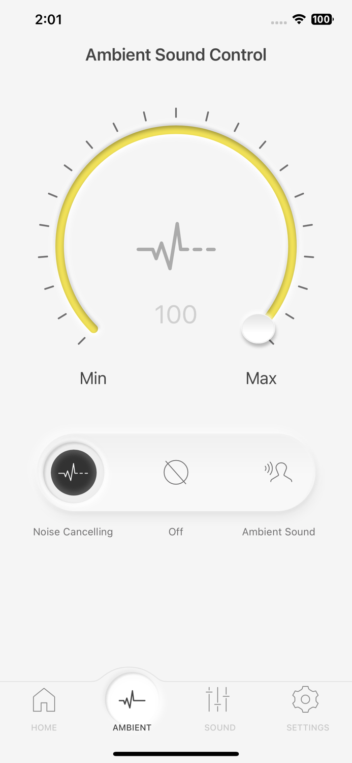 Technics Audio Connect