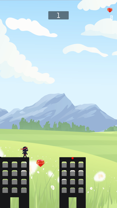 Bamboo Ninja Break Screenshot