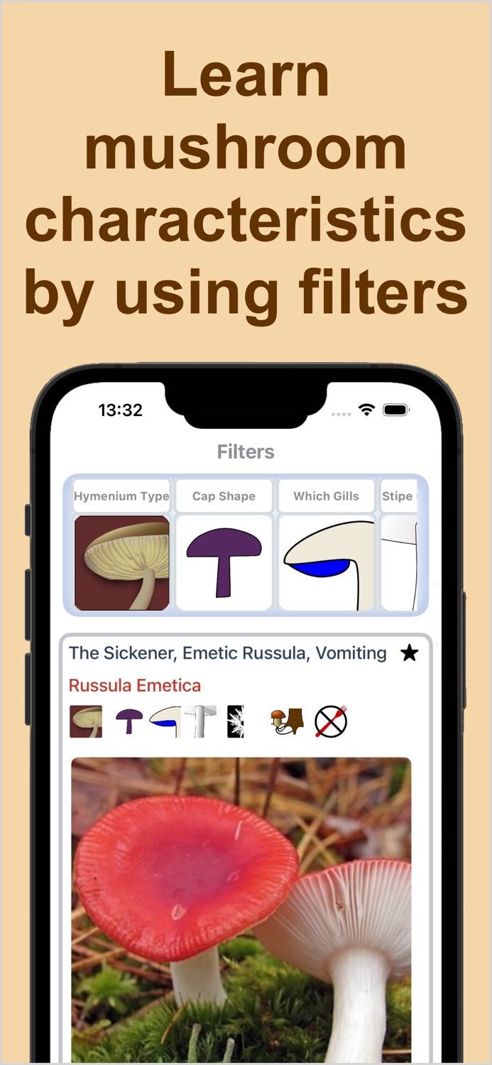 Forest Mushroom Identification