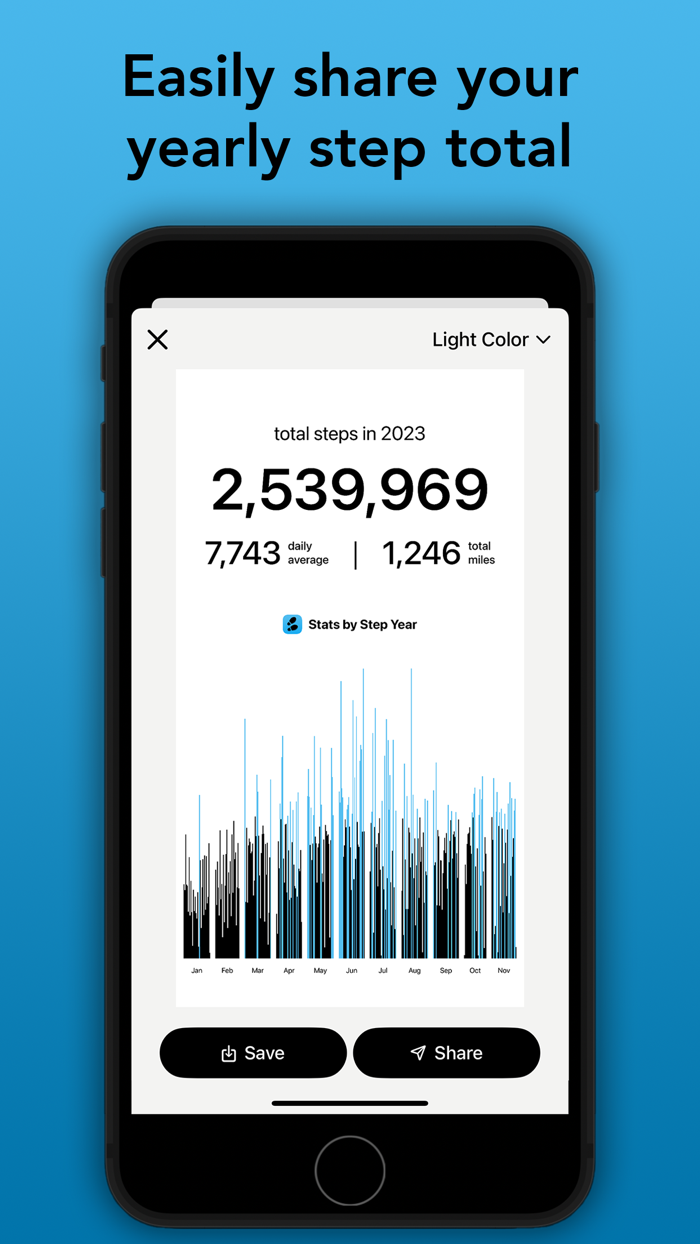 Step Year Pedometer in Review