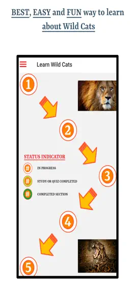 Game screenshot Learn Wild Cats mod apk