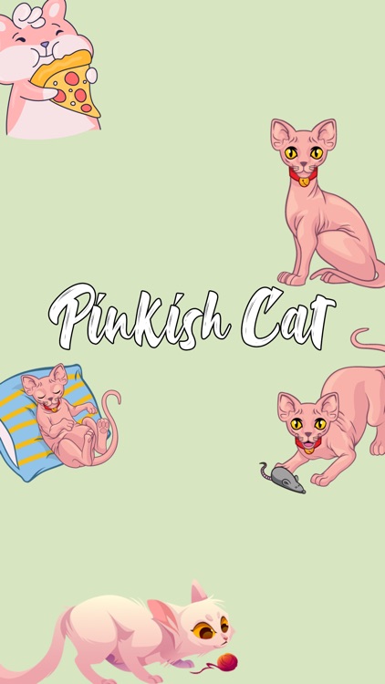 Pinkish Cat