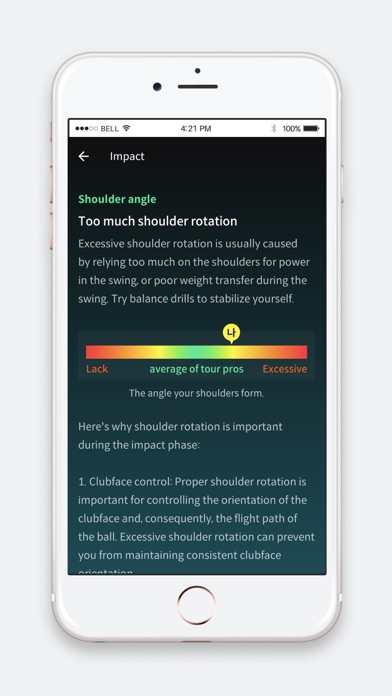 BirdiePT Screenshot