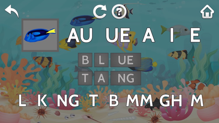 Niskoo: Reading and Spelling