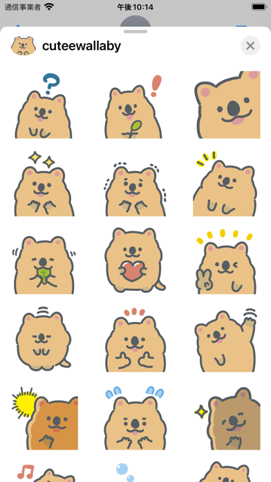 cute wallaby sticker Screenshot