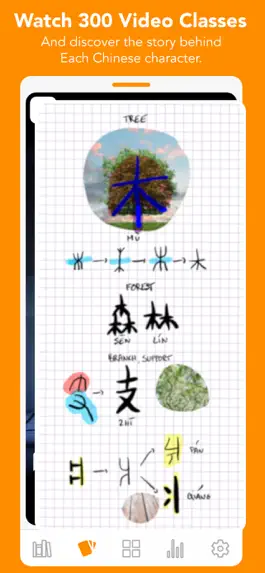 Game screenshot Ginkgo: Learn Chinese Mandarin apk