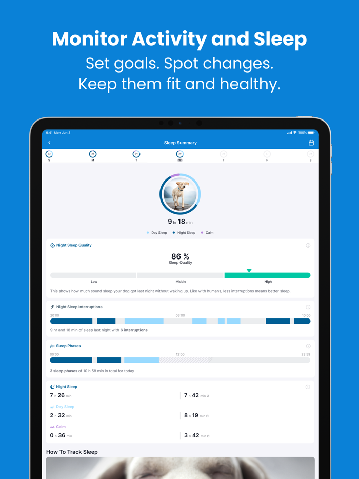 Tractive GPS for Dogs and Cats