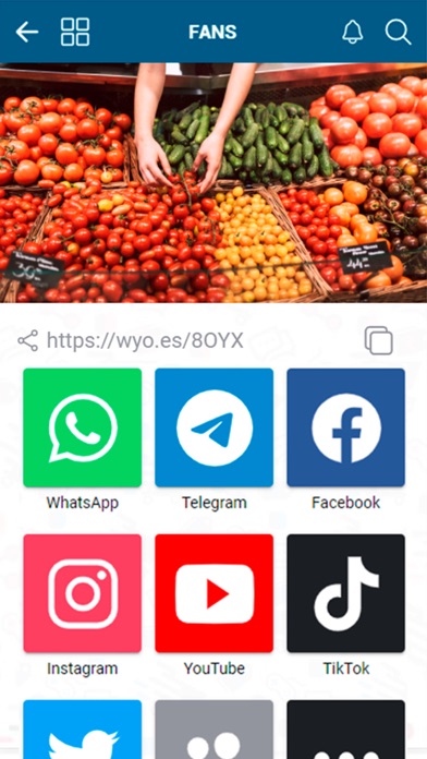 PintoKm0 Screenshot
