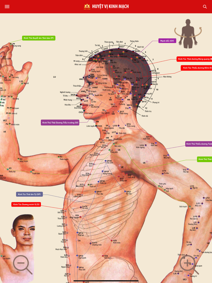 Huyet Vi Kinh Mach