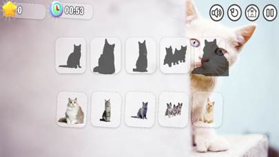 Cute Cate puzzle Screenshot