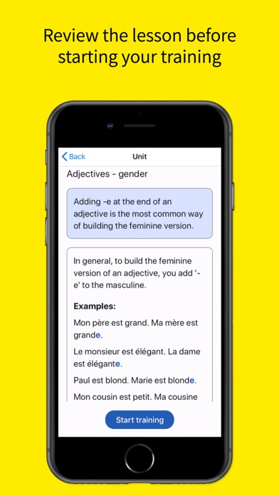 French Grammar Master Screenshot