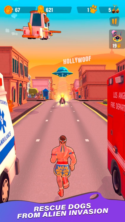 VAN DAMME : Dawn of Chihuahuas screenshot-3