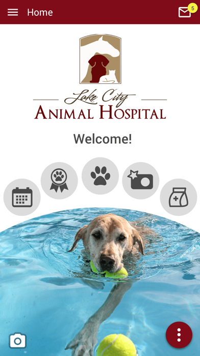 Lake City Animal Hospital FL Screenshot