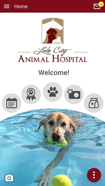 Lake City Animal Hospital FL