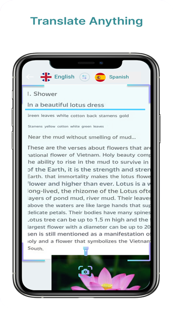 Traductor-language translator
