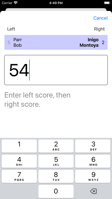 FencingPool Screenshot
