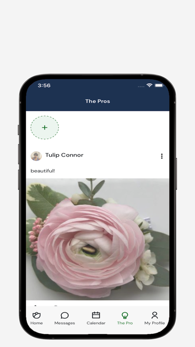 FlowerPro Screenshot