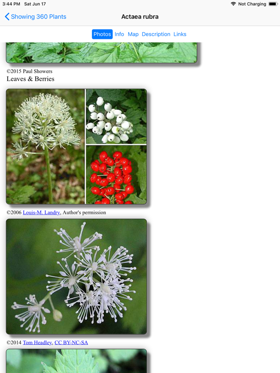 Alaska Wildflowers North iPad screenshot