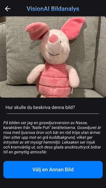 Fråga AI+