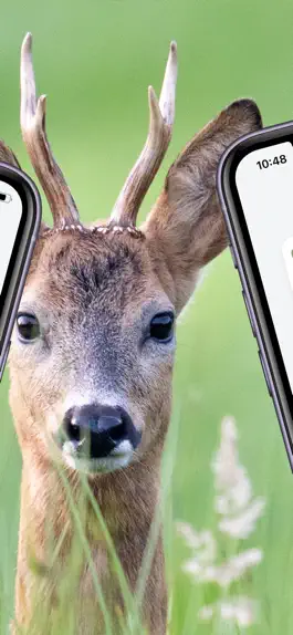 Game screenshot Lernkarten Jagd apk