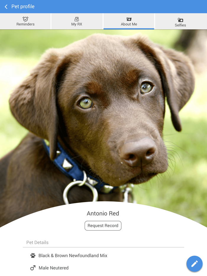 Deer Ridge Animal Hospital