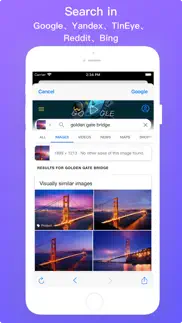 power reverse image search iphone screenshot 2