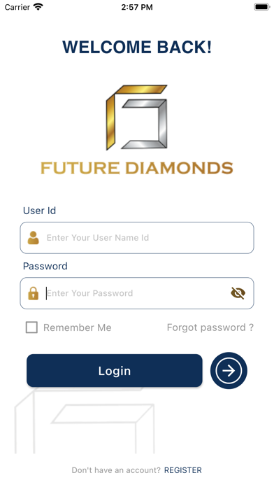 Future Diamonds Fzco Screenshot