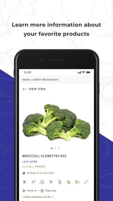 Nicholas & Co: Nicco Online Screenshot