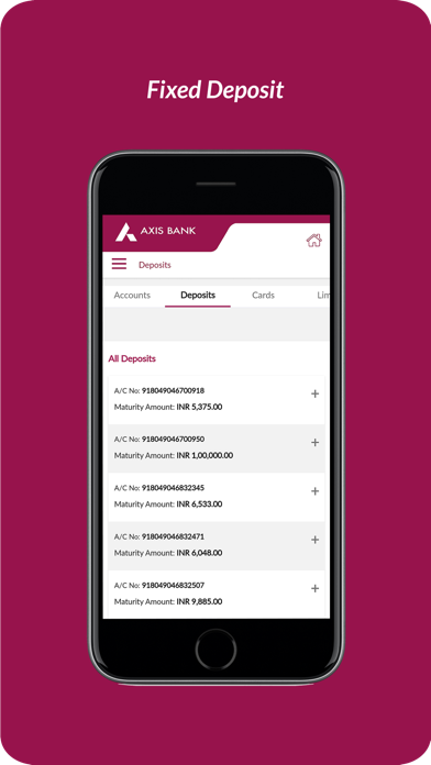 Axis Mobile - Corporate Screenshot