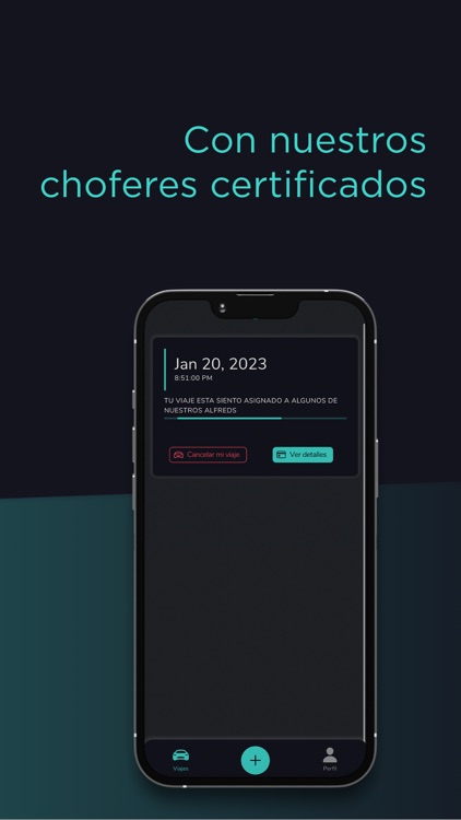 Alfred Drivers screenshot-3