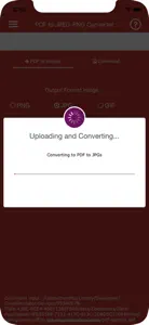 Convert PDF to JPG,PDF to PNG screenshot #3 for iPhone