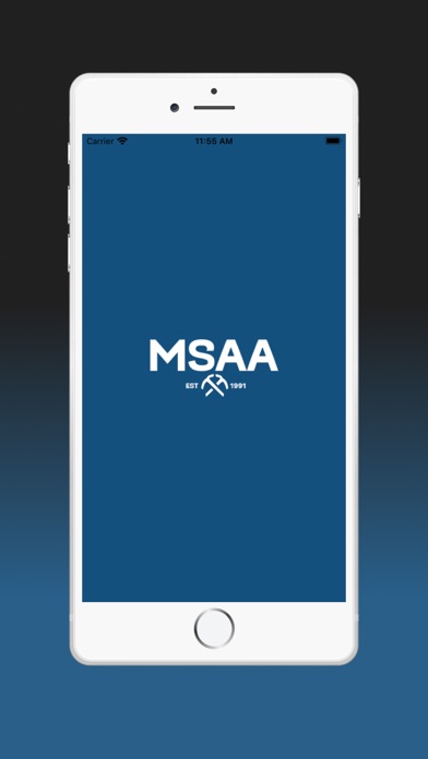 MSAA Screenshot