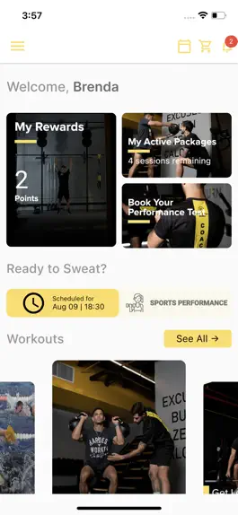 Game screenshot BR Perform mod apk