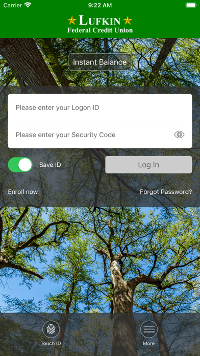 Lufkin Federal Credit Union Screenshot