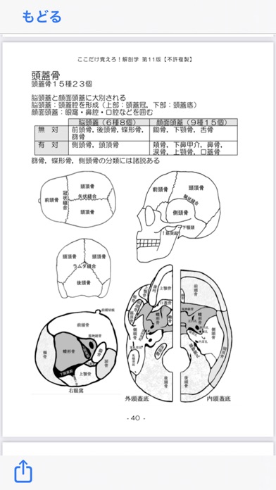 解剖学NOTE 第11版のおすすめ画像4